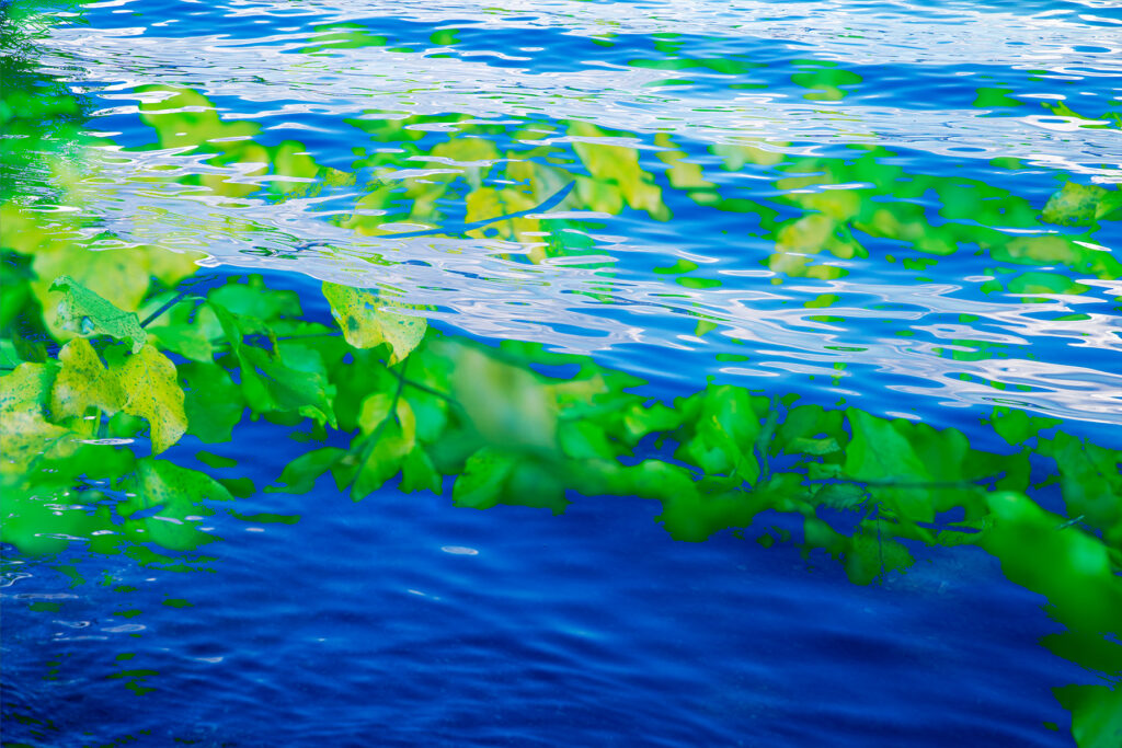 Kunstwerk Wasser-Traum III, Künstler Nico Hänisch, Digital Art