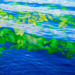 Kunstwerk Wasser-Traum III, Künstler Nico Hänisch, Digital Art